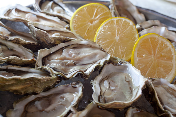 How to choose and store oysters
