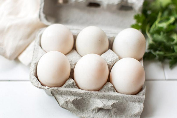 Jak si vybrat a uložit kachní vejce