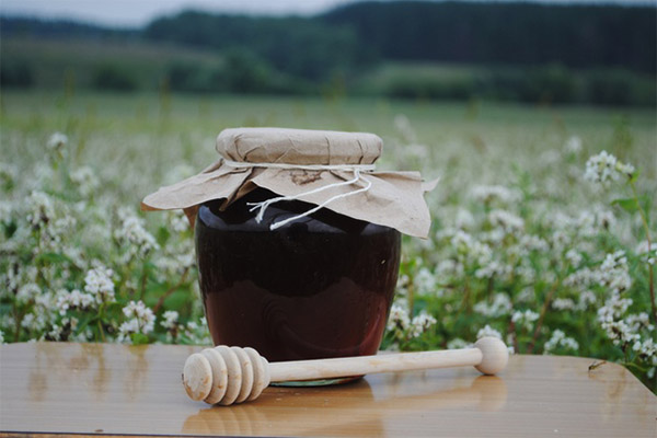 สรรพคุณในการรักษาของน้ำผึ้งบัควีท