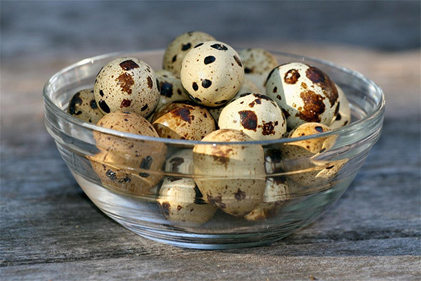Is it possible to give quail eggs to animals