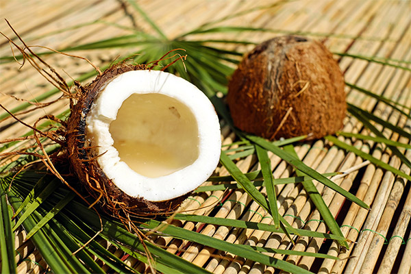 É possível comer coco enquanto perde peso