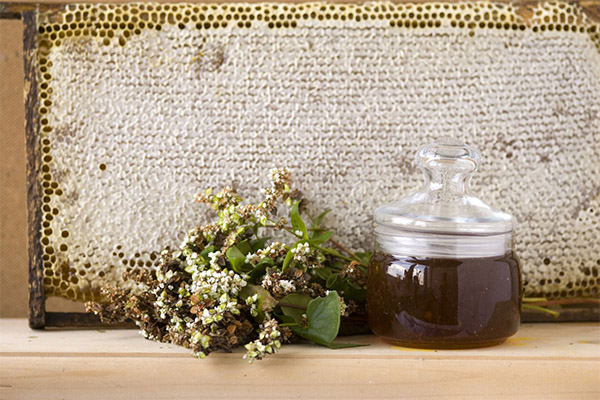 Nyttige egenskaber ved boghvede honning