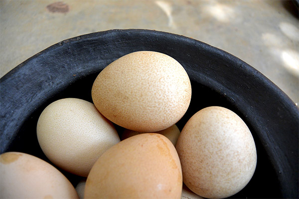 Χρήσιμες ιδιότητες των αυγών της φραγκόκοτας