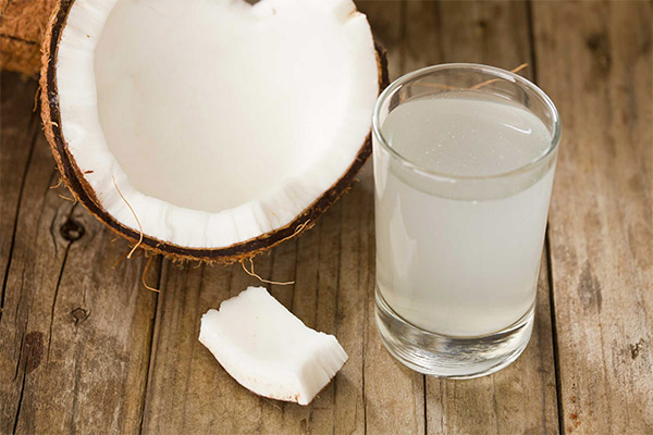 Příznivé vlastnosti kokosové vody