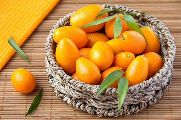 Propriedades úteis de kumquat