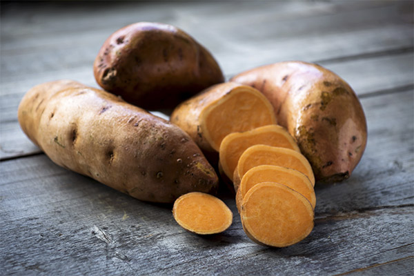 Výhody a škody na sladkých bramborách