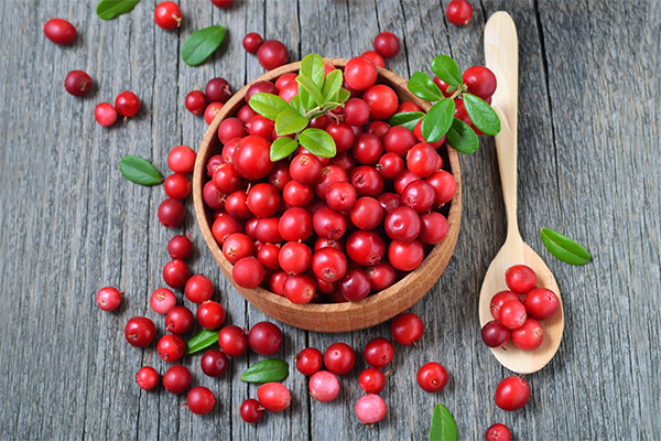 The benefits and harms of lingonberries