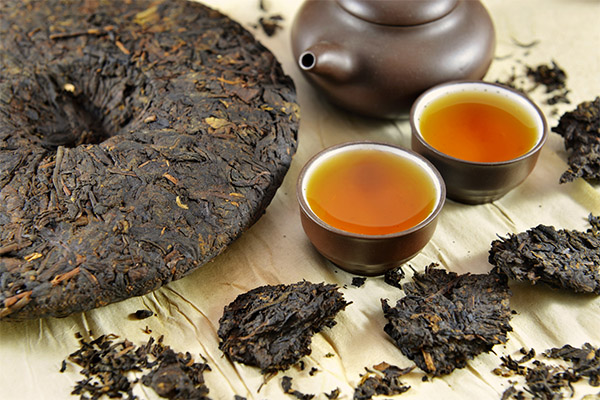 Výhody a poškození čaje Puer