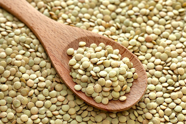 Os benefícios e malefícios das lentilhas