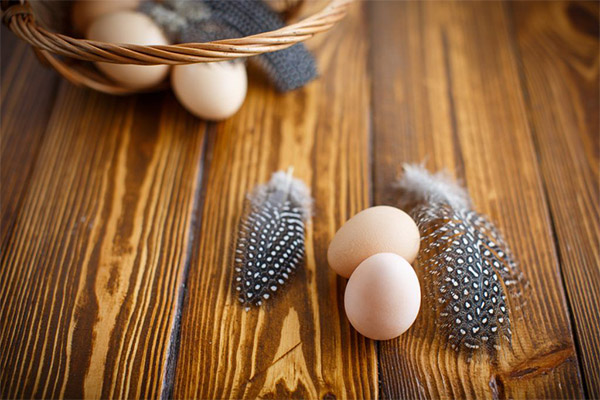 Die Vor- und Nachteile von Perlhuhn-Eiern