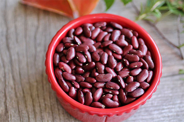 Výhody a poškození červené fazole