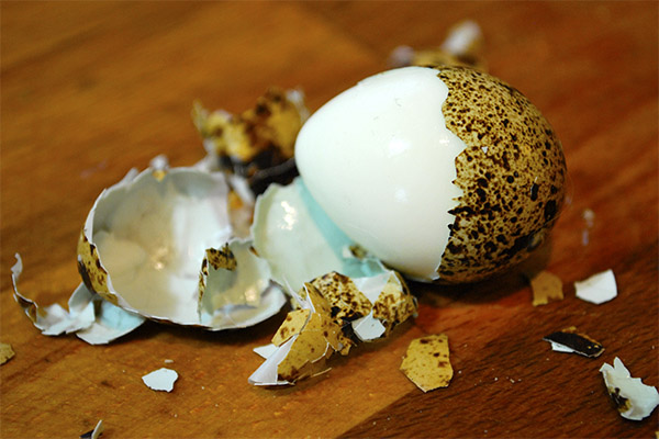 היתרונות והפגמים של קליפת ביצה שליו