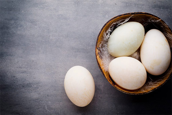 Les avantages et les inconvénients des œufs de canard