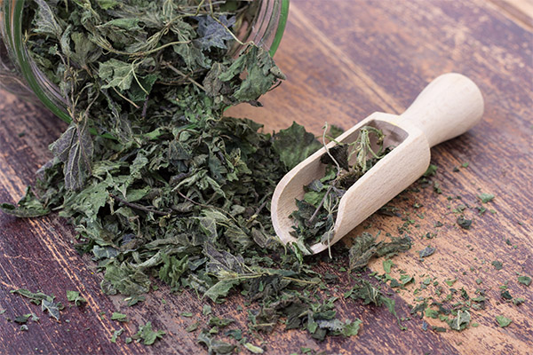 The benefits of dried nettle