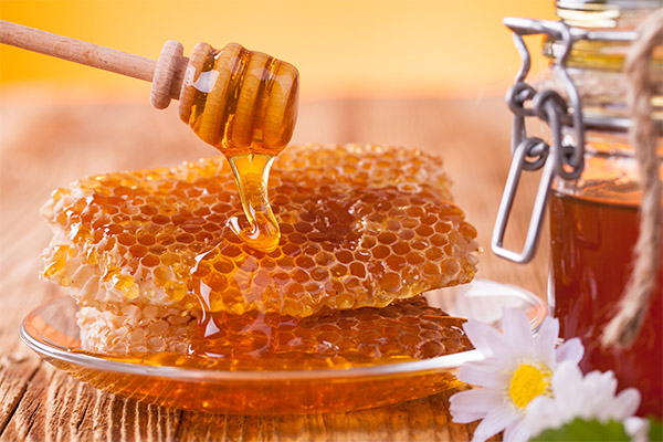 Regeln für die Auswahl von Honig in Waben