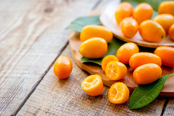 Användning av kumquat i medicin