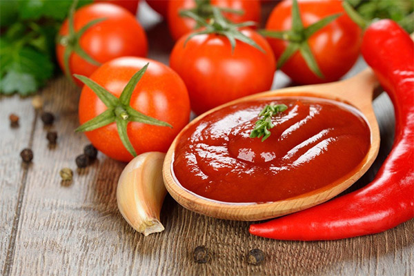 استخدام معجون الطماطم في الطبخ