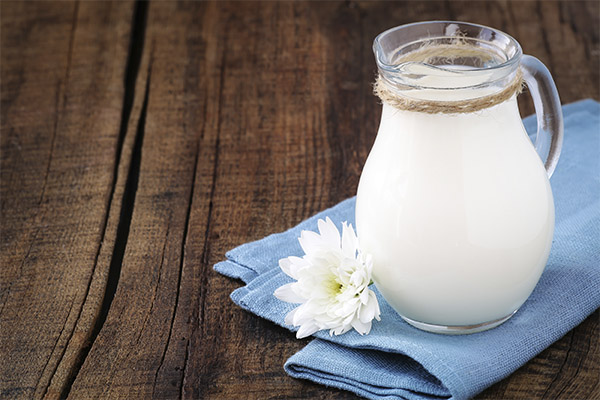 Mjölkbaserade traditionella medicinrecept