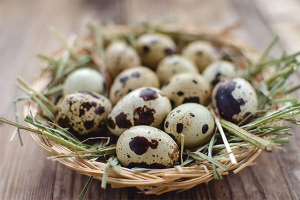 Perinteisen lääketieteen reseptit viiriäisen munien perusteella
