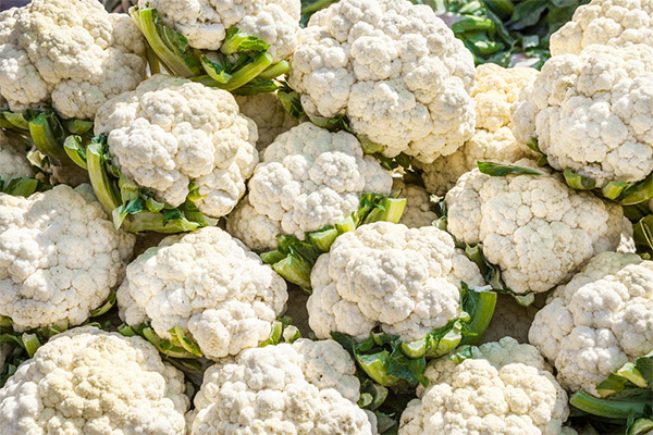 How much cauliflower can I eat per day