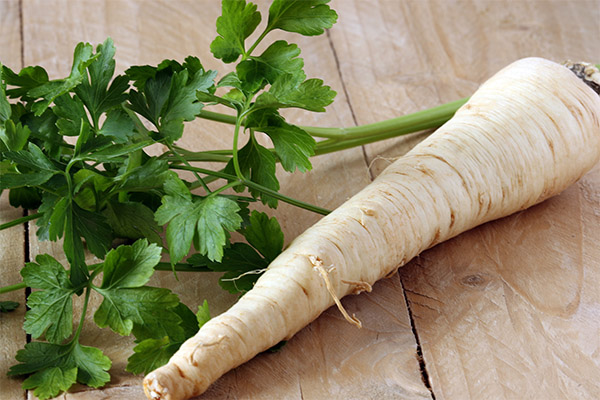 What is useful parsley root