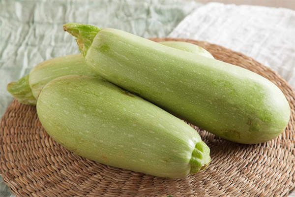 Hvad er nyttige zucchini