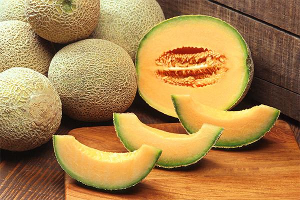 Vad kan kokas från melon