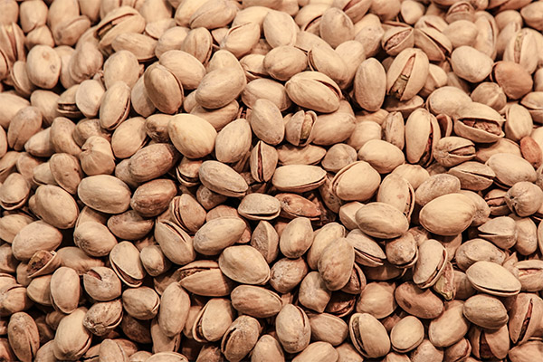 Intressanta fakta om pistagenötter