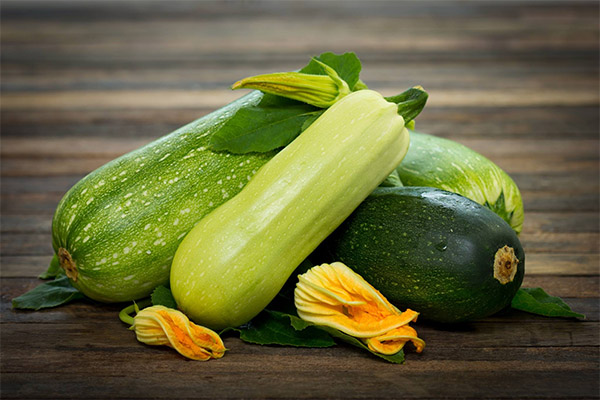Sự thật thú vị về zucchini