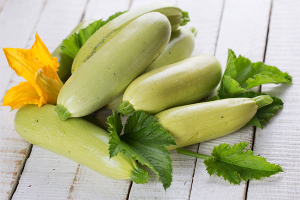 Intressanta fakta om zucchini