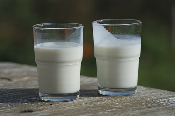 Intressanta fakta om kärnmjölk