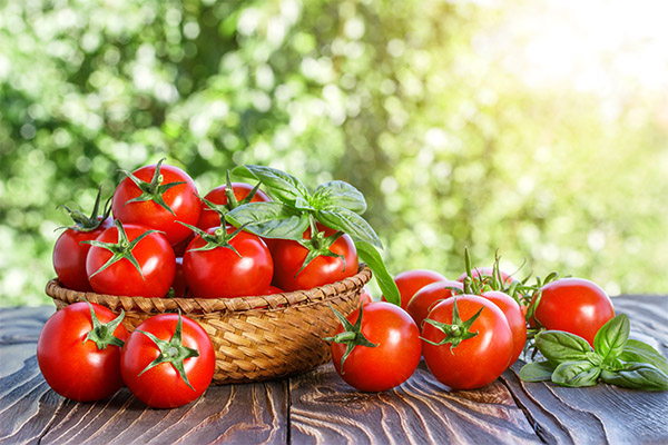 Intressanta fakta om tomater