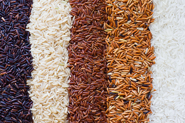 Zaujímavé fakty o ryži