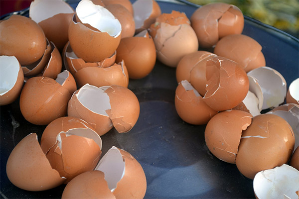 Како деци давати љуске јаја