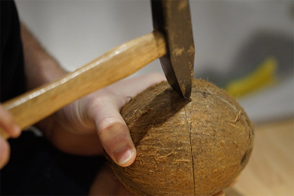 Jak otevřít kokos s kladivem