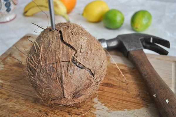 Jak otevřít kokos pomocí šroubováku
