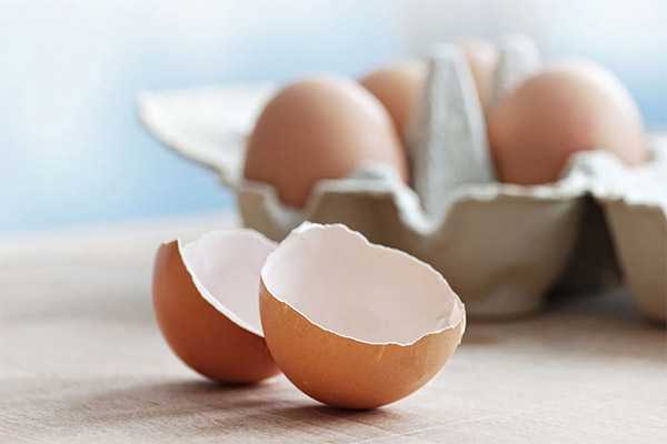 Hvordan lagre eggeskall riktig