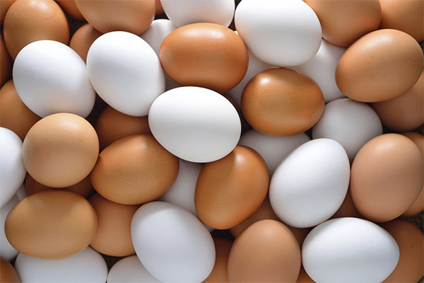Jak zkontrolovat čerstvost vajec