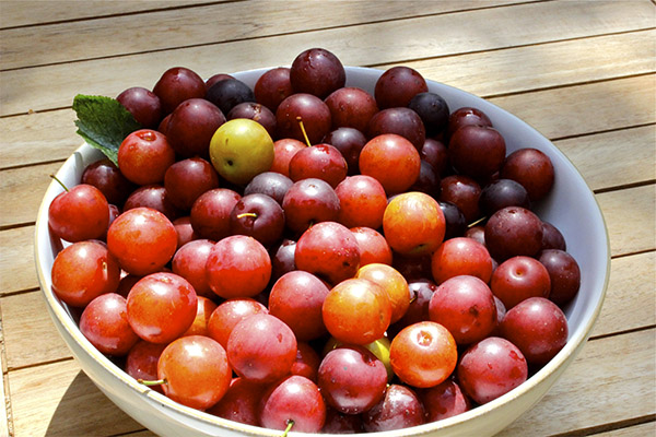 Comment choisir la prune cerise pour la confiture