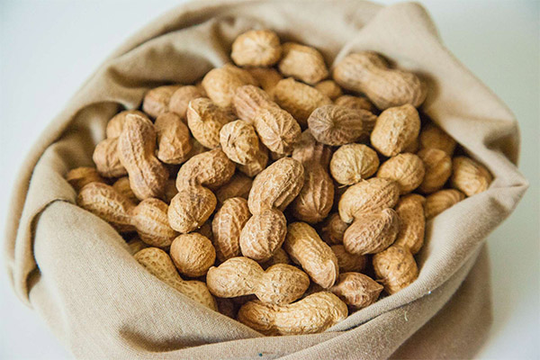 Kuinka valita ja säilyttää maapähkinöitä