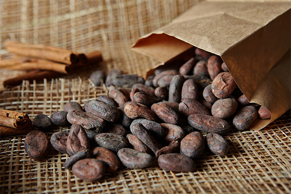 Jak si vybrat a uložit kakaové boby