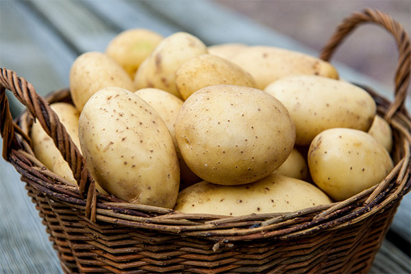 Jak si vybrat a uložit brambory