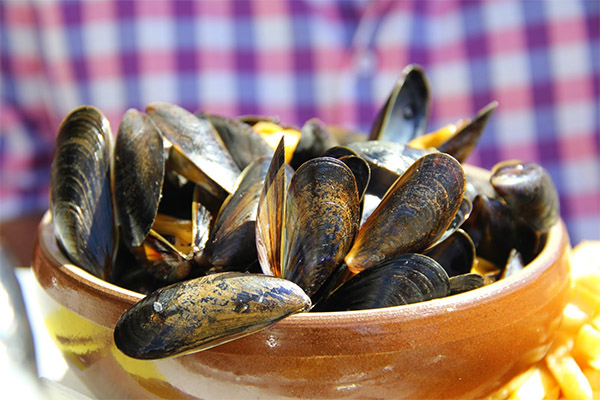 Hur man plockar och förvarar musslor