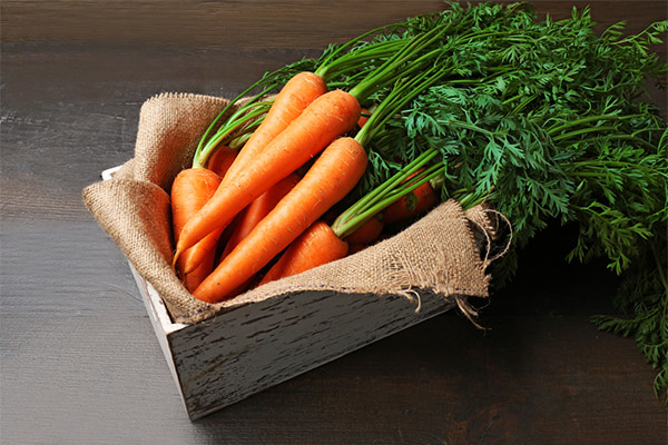 Как да изберем и съхраняваме моркови
