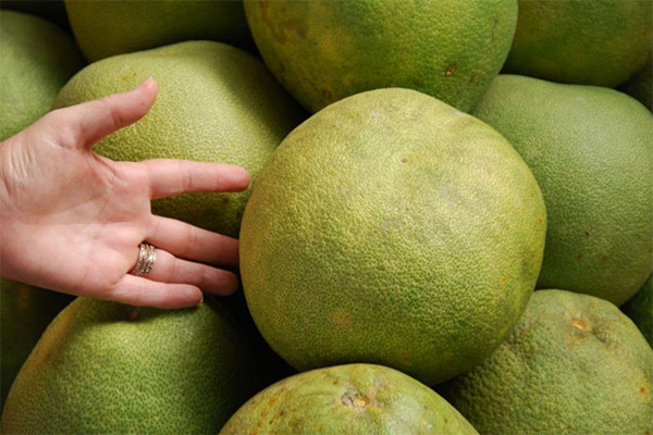 Comment et où conserver correctement le pomelo