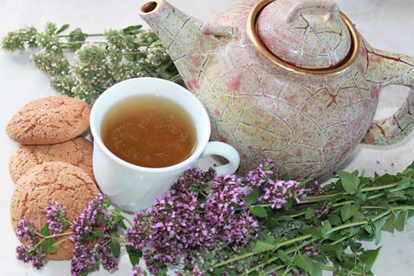 Comment faire du thé avec de l'origan