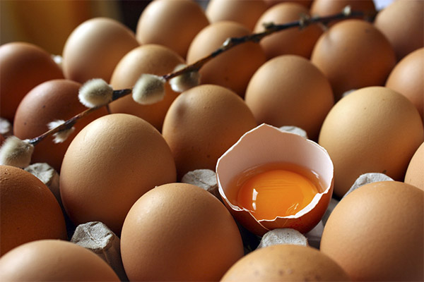 Jak zjistit čerstvost vajec