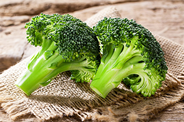 Brokolice zelí v medicíně