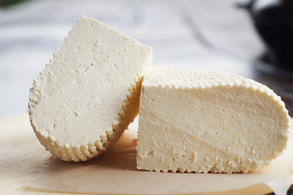 Miksi Adyghe-juusto on katkera