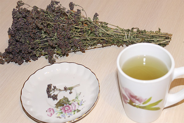 Propriétés utiles du thé à l'origan